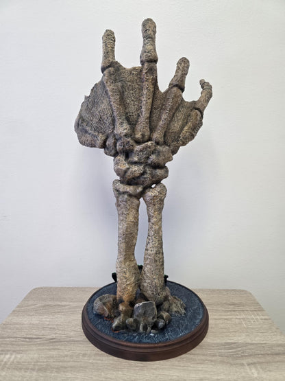 Fossilized Creature Hand – 1:1 Scale Prop Replica